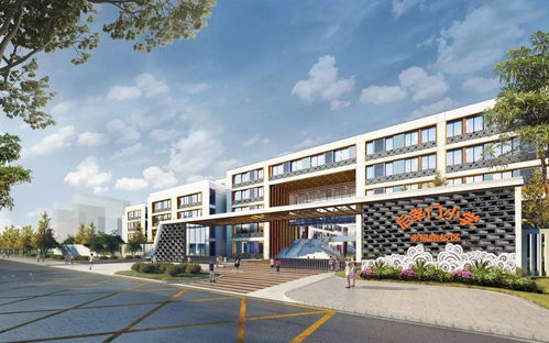 新城区教育局 转化党史学习成果，办实事惠民生